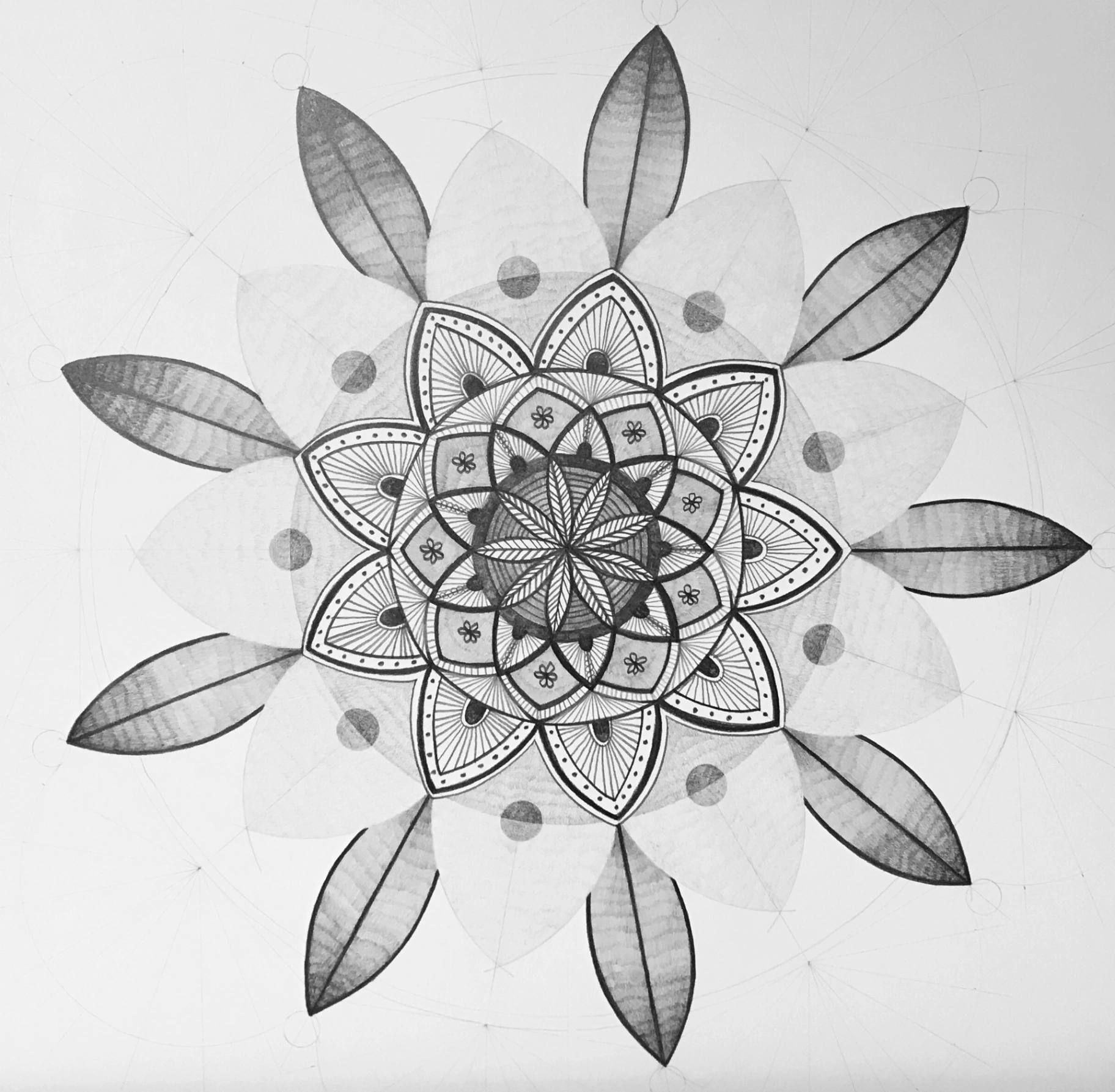 Circle4 –geometry