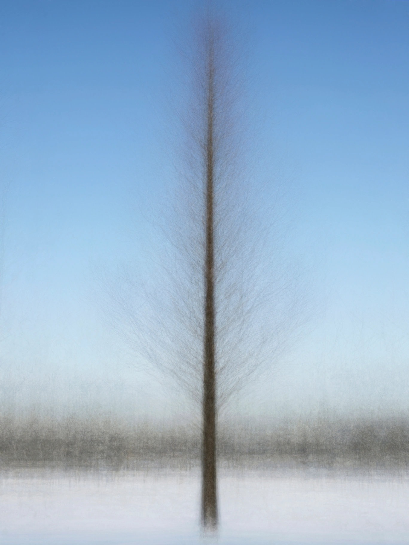 Jonghaphyuyangji-ro metasequoia winter