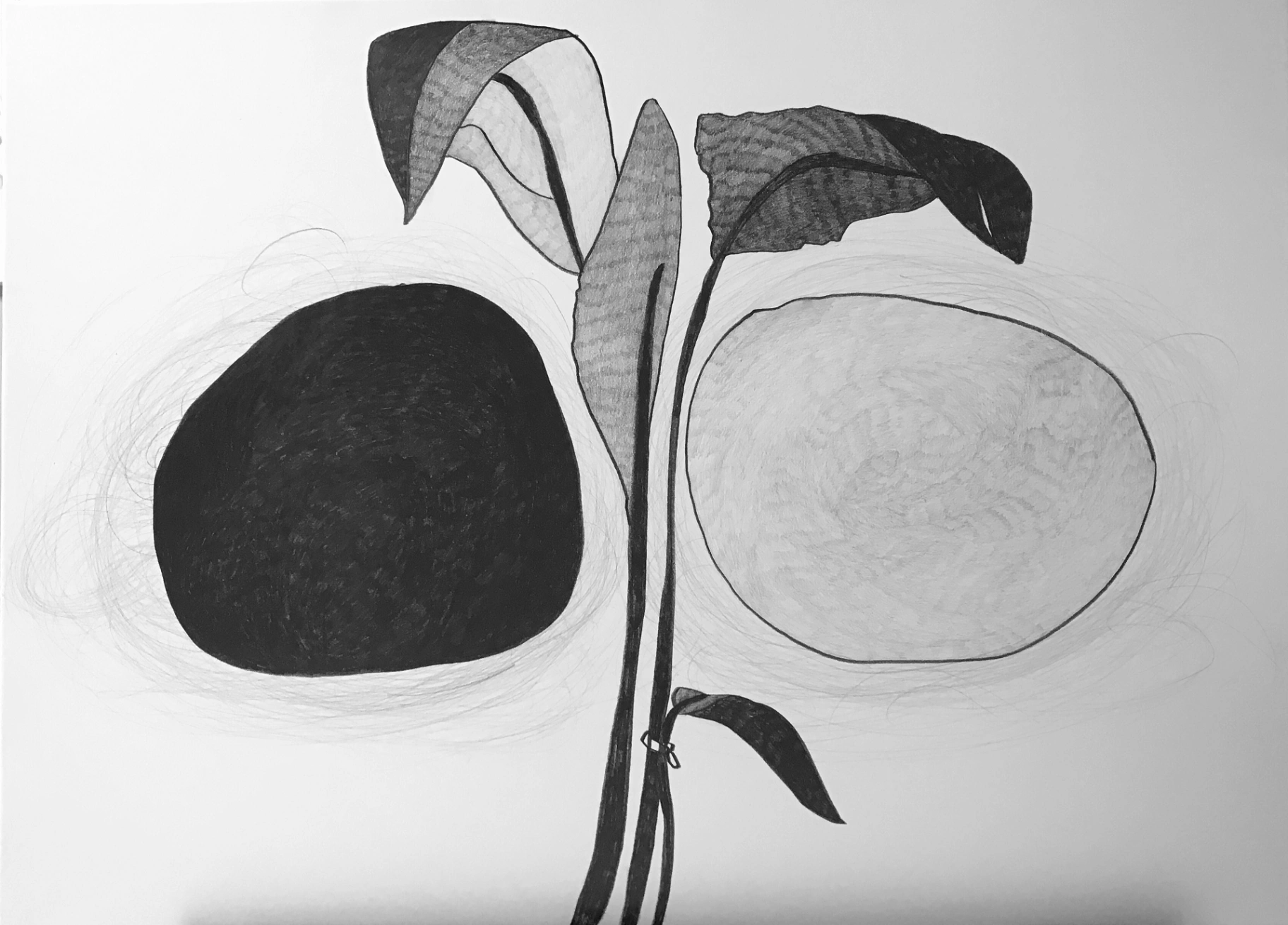 축-axis mundi